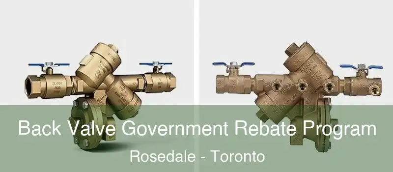  Back Valve Government Rebate Program Rosedale - Toronto