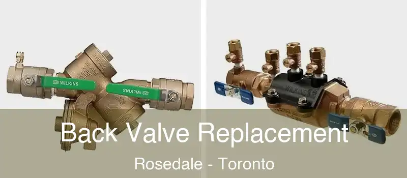  Back Valve Replacement Rosedale - Toronto