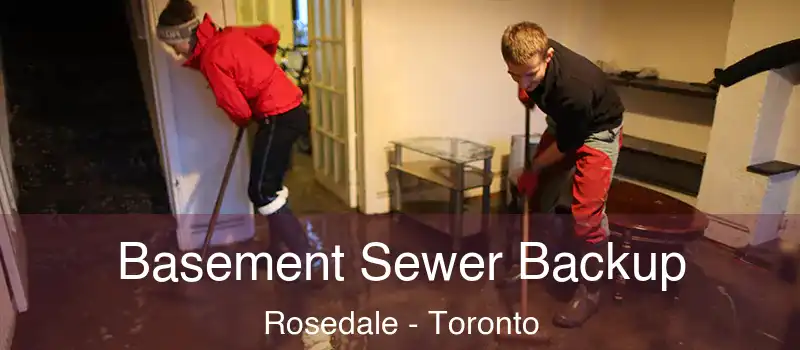  Basement Sewer Backup Rosedale - Toronto