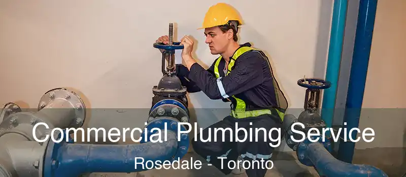  Commercial Plumbing Service Rosedale - Toronto