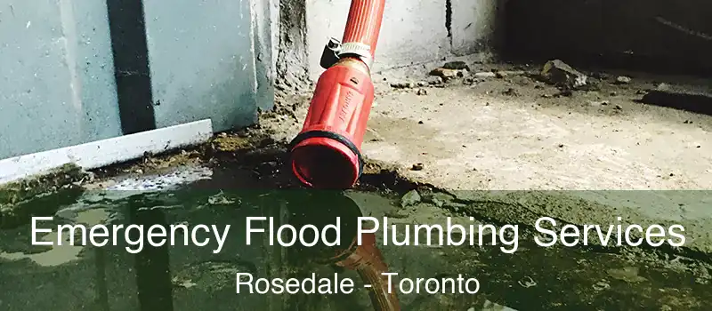 Emergency Flood Plumbing Services Rosedale - Toronto