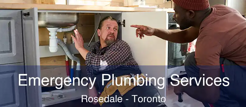  Emergency Plumbing Services Rosedale - Toronto