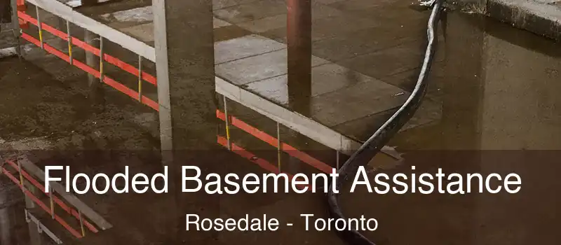  Flooded Basement Assistance Rosedale - Toronto