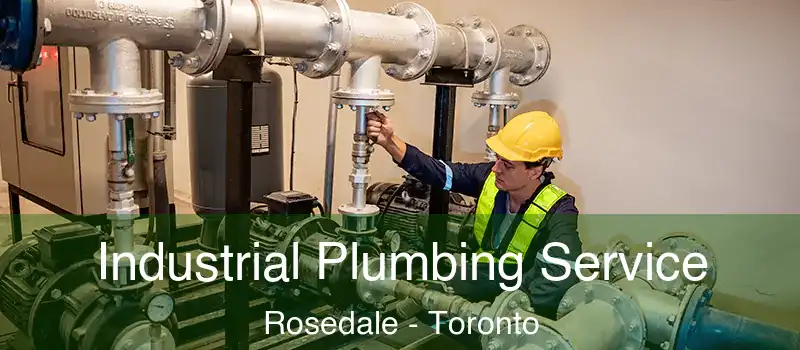  Industrial Plumbing Service Rosedale - Toronto