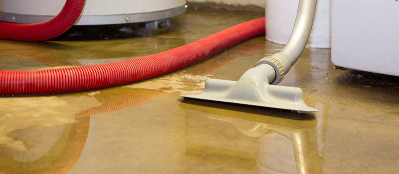 Professional Sewer Backup Cleanup Services in Rosedale, Toronto