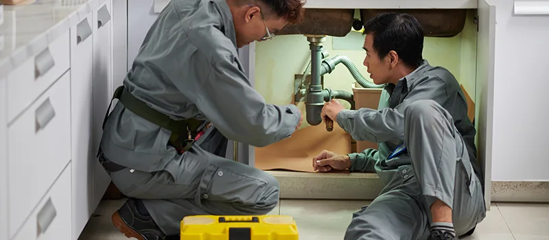 Commercial Bonded and Insured Plumber Services in Rosedale, Toronto