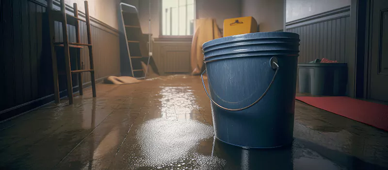 Flooded Basement Restoration Assistance in Rosedale, Toronto