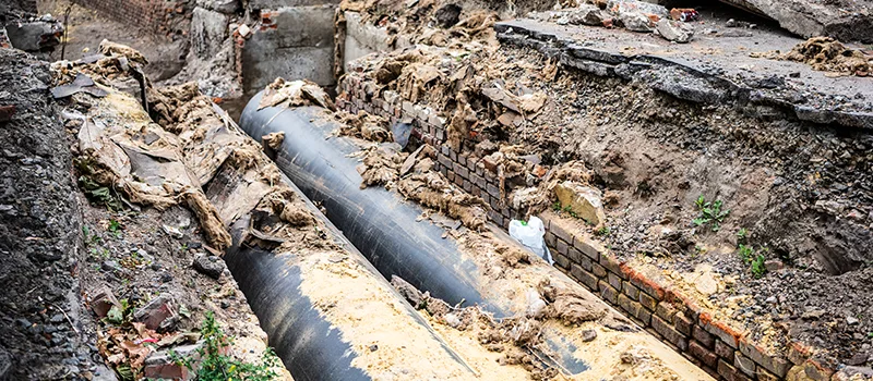 Commercial Sewer Tree Roots Damage Solutions in Rosedale, Toronto