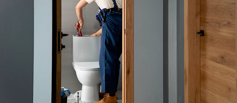 Plumber for Toilet Installation in Rosedale, Toronto