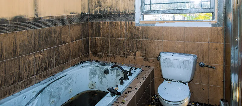 Residential Water Damage Restoration in Rosedale, Toronto