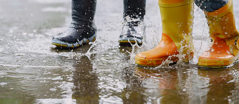 Emergency Flood Recovery Plumbing Services in Rosedale, Toronto
