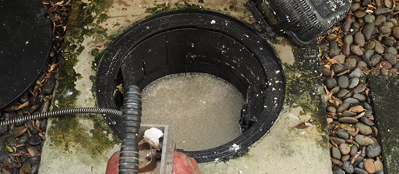 Hydro Jetting For Root Removal in Rosedale, Toronto