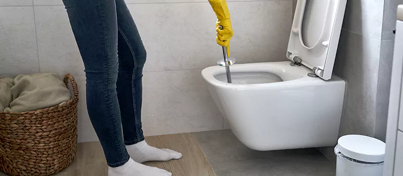 Toilet Flush Valve Installation Services in Rosedale, Toronto