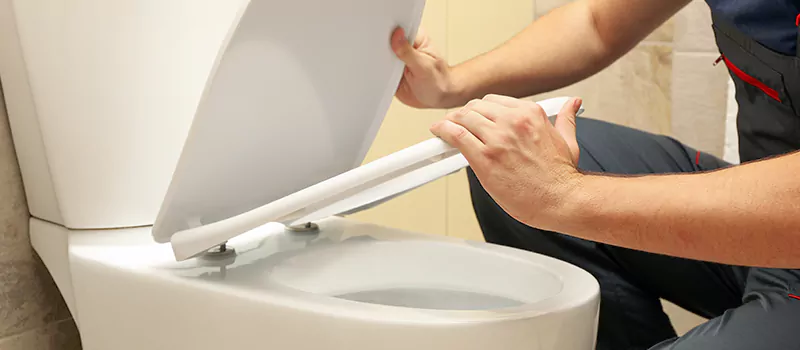 Damaged Toilet Parts Replacement Services in Rosedale, Toronto