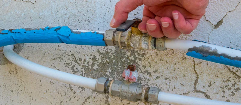 Ceiling Water Damage Repair in Rosedale, Toronto