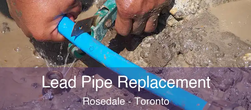  Lead Pipe Replacement Rosedale - Toronto