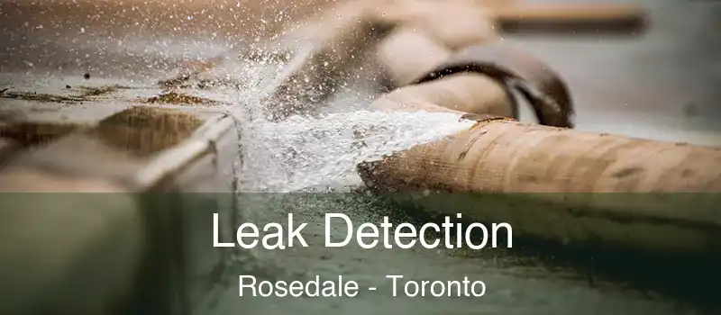  Leak Detection Rosedale - Toronto