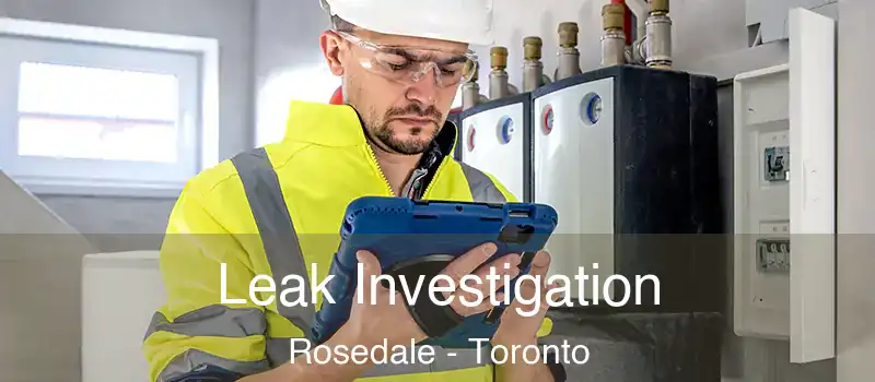  Leak Investigation Rosedale - Toronto