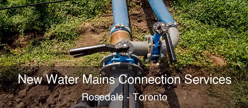  New Water Mains Connection Services Rosedale - Toronto