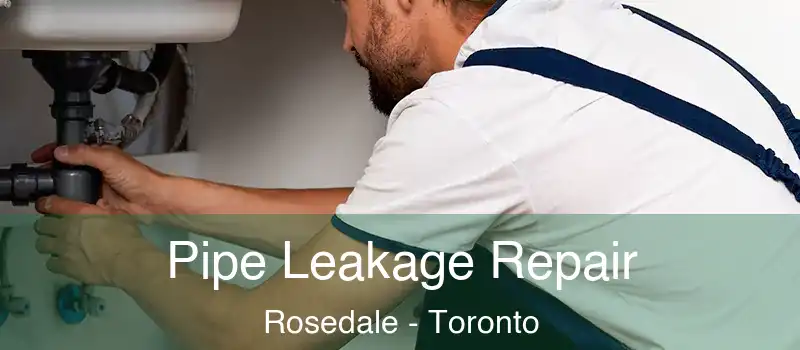  Pipe Leakage Repair Rosedale - Toronto