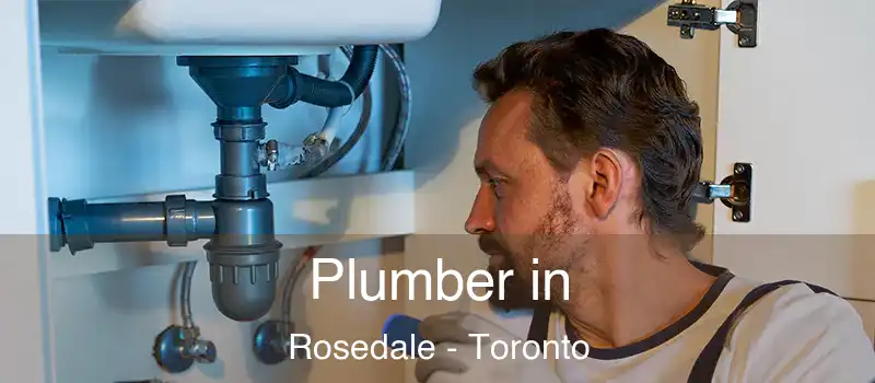  Plumber in Rosedale - Toronto