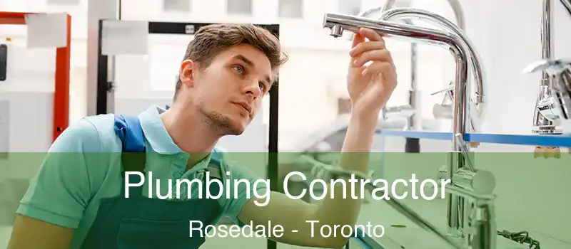  Plumbing Contractor Rosedale - Toronto