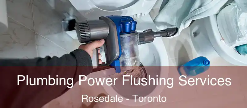 Plumbing Power Flushing Services Rosedale - Toronto