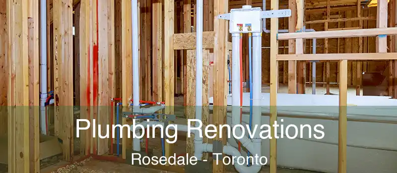  Plumbing Renovations Rosedale - Toronto