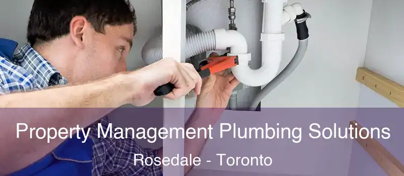 Property Management Plumbing Solutions Rosedale - Toronto