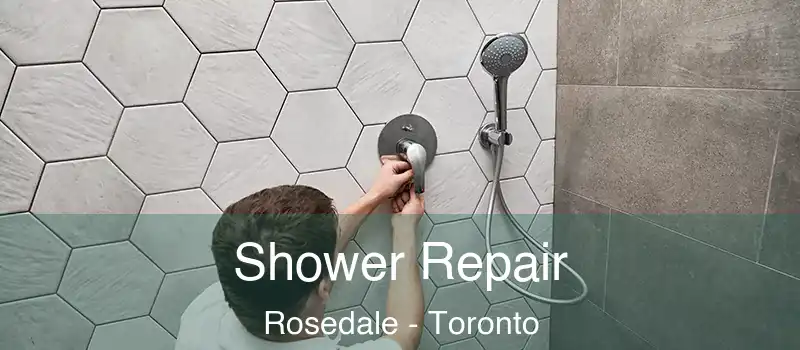  Shower Repair Rosedale - Toronto