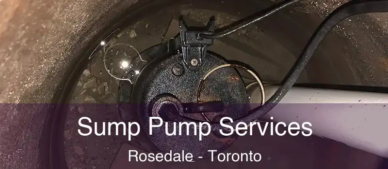  Sump Pump Services Rosedale - Toronto