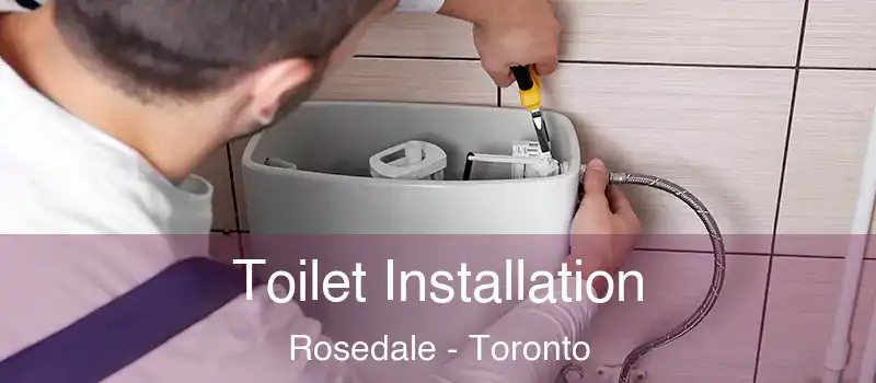 Toilet Installation Rosedale - Toronto