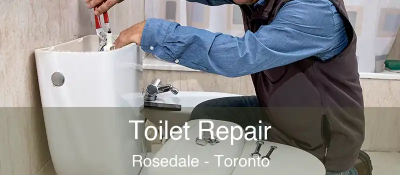  Toilet Repair Rosedale - Toronto