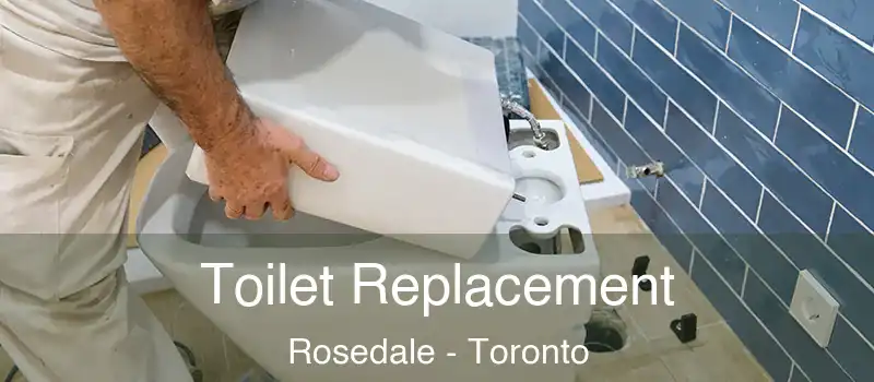 Toilet Replacement Rosedale - Toronto