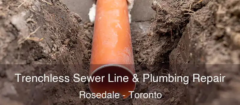  Trenchless Sewer Line & Plumbing Repair Rosedale - Toronto