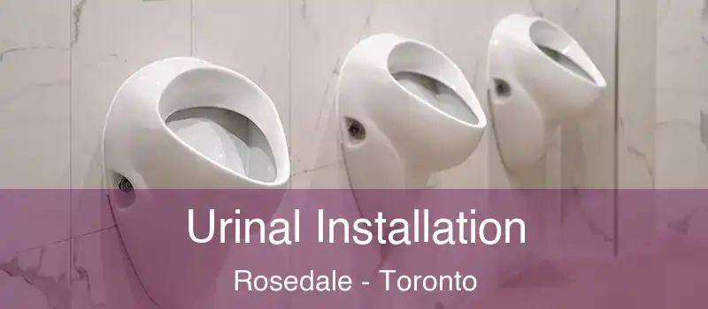  Urinal Installation Rosedale - Toronto