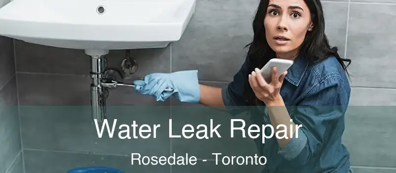  Water Leak Repair Rosedale - Toronto