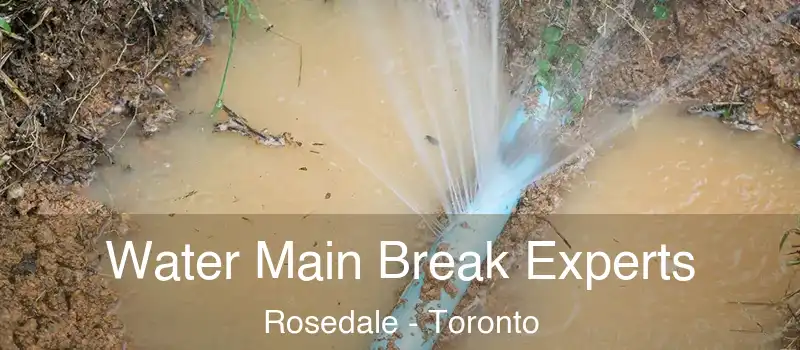 Water Main Break Experts Rosedale - Toronto