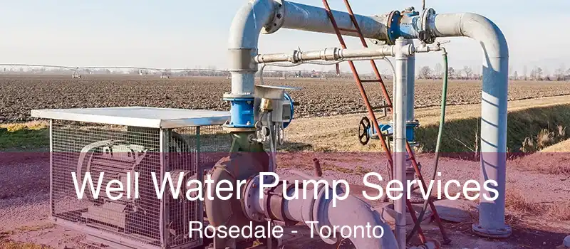  Well Water Pump Services Rosedale - Toronto